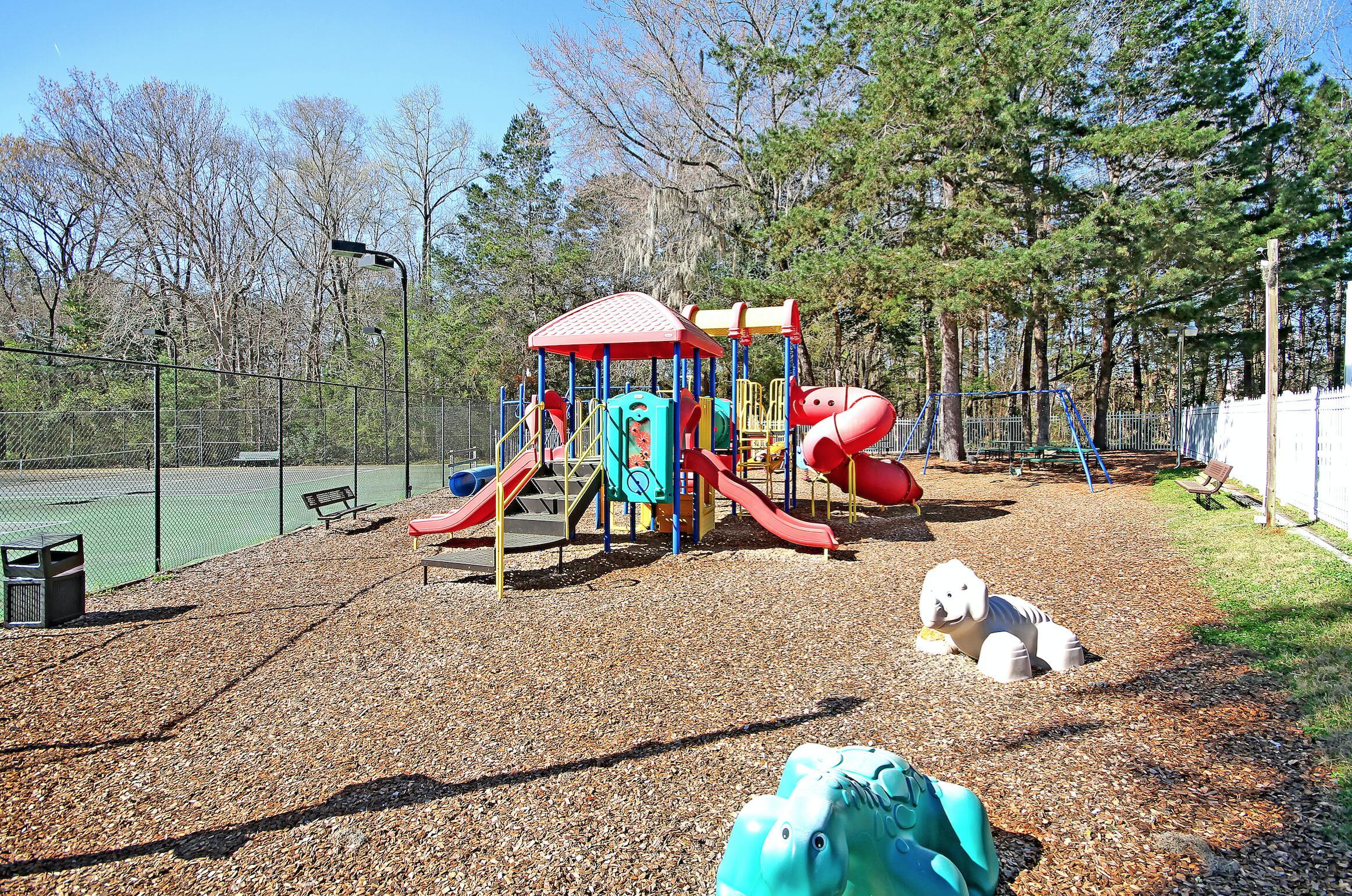Photo #51