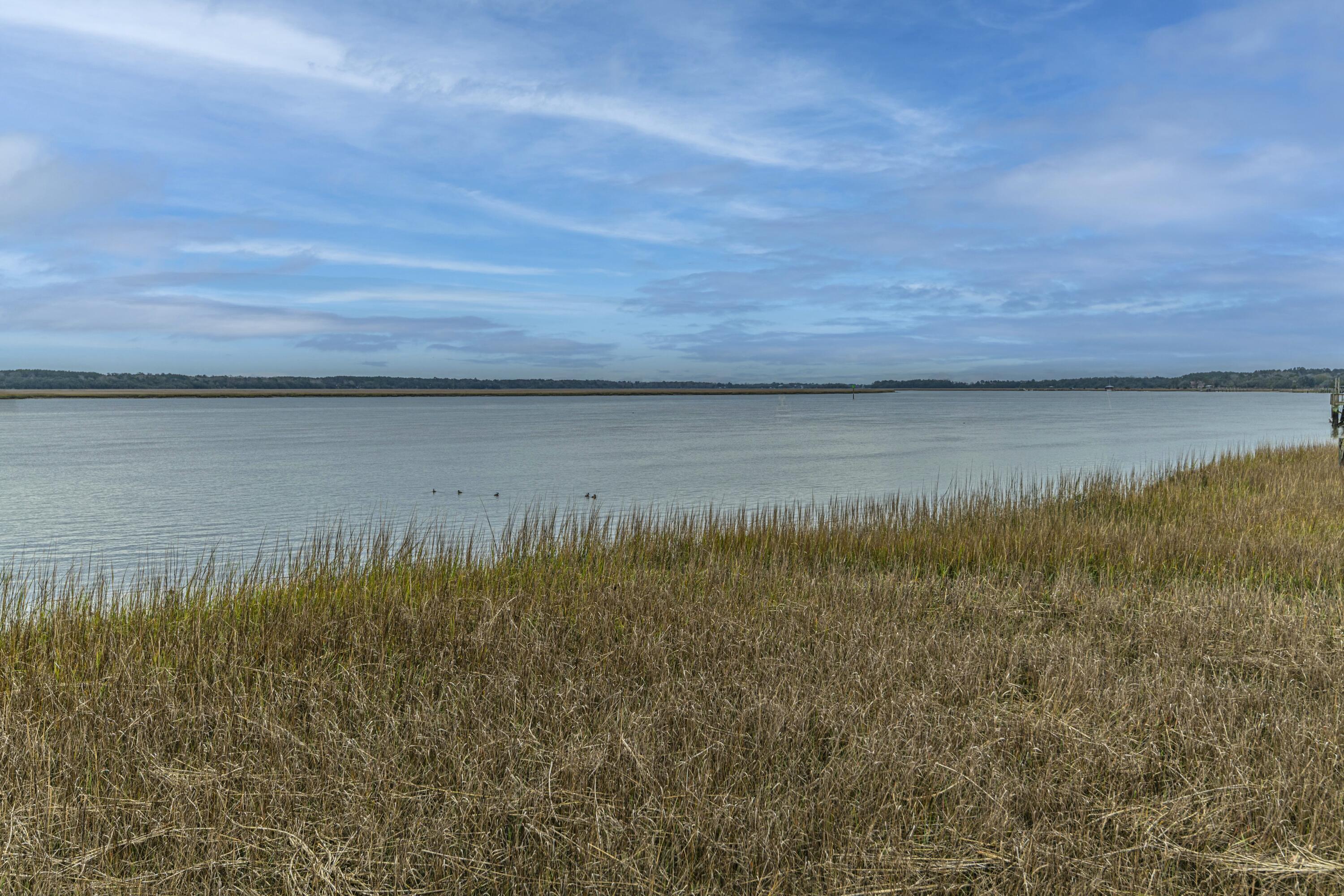 Photo #49