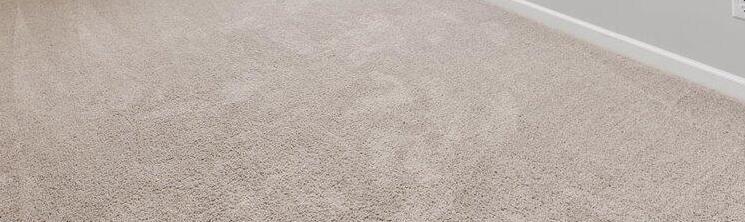 Photo #18