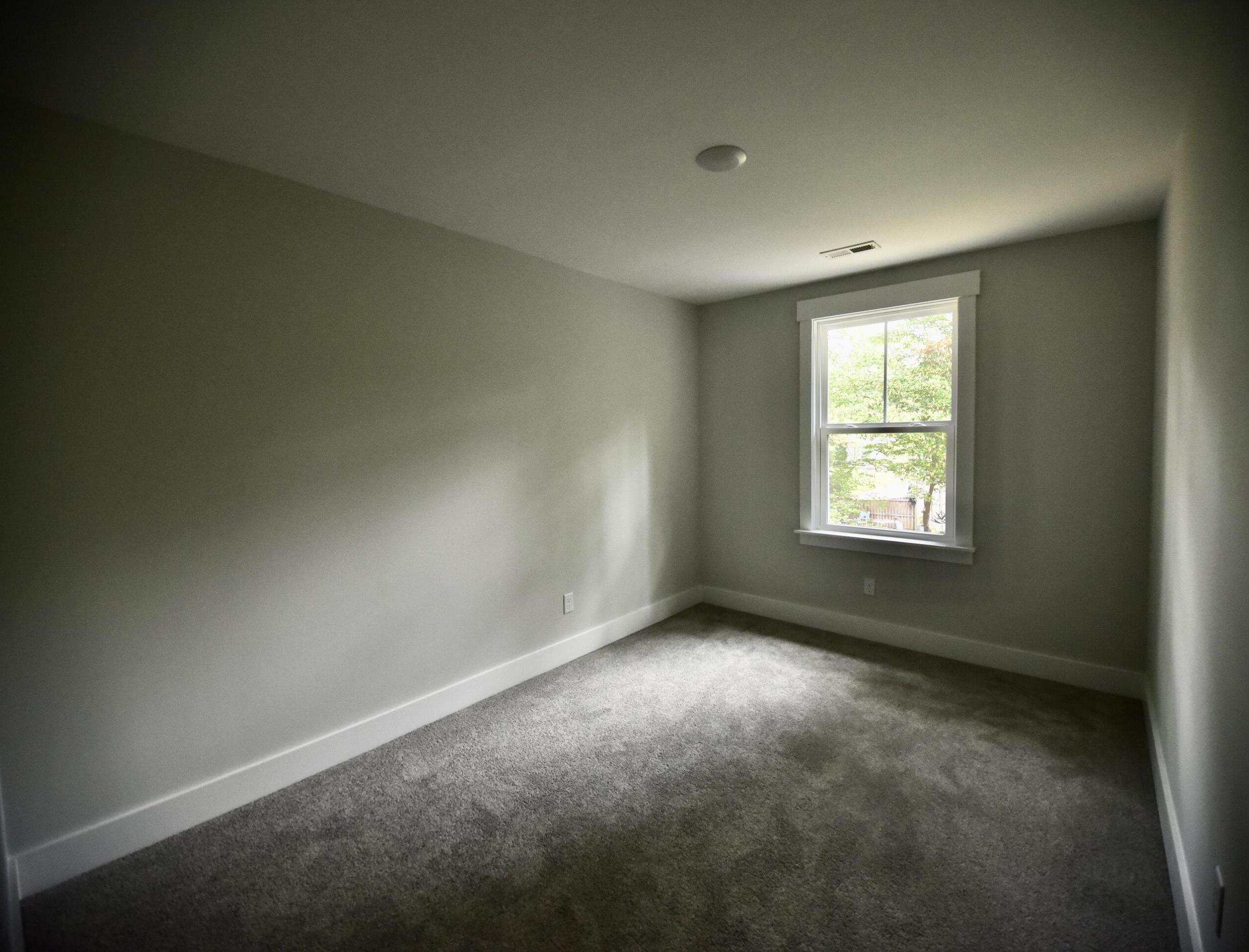 Photo #16