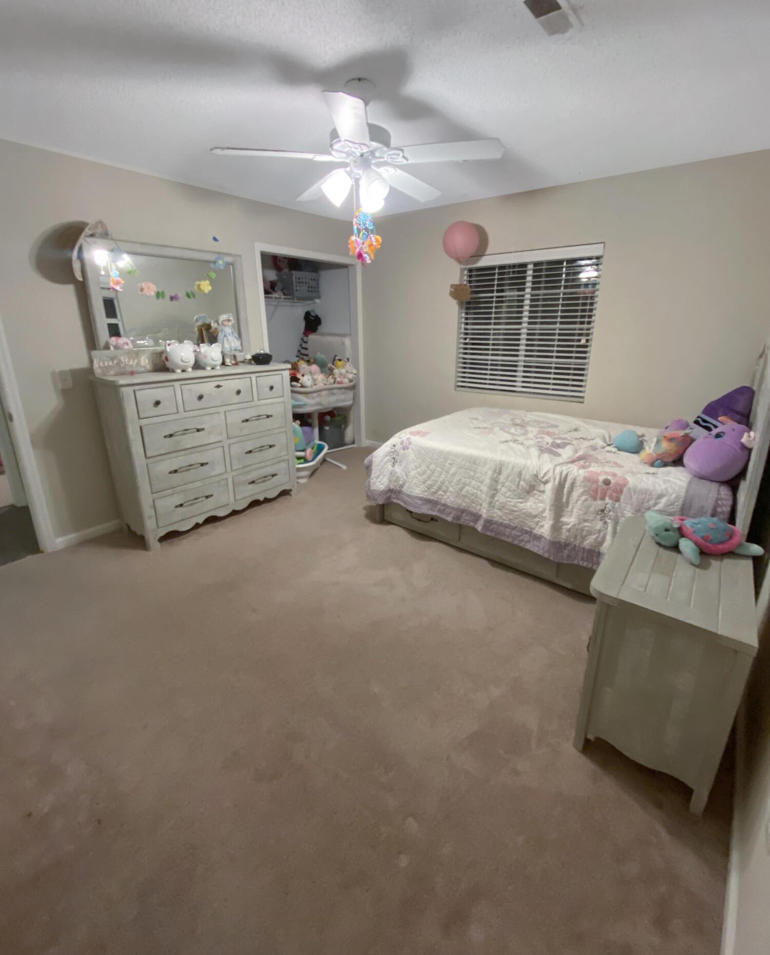 Photo #19
