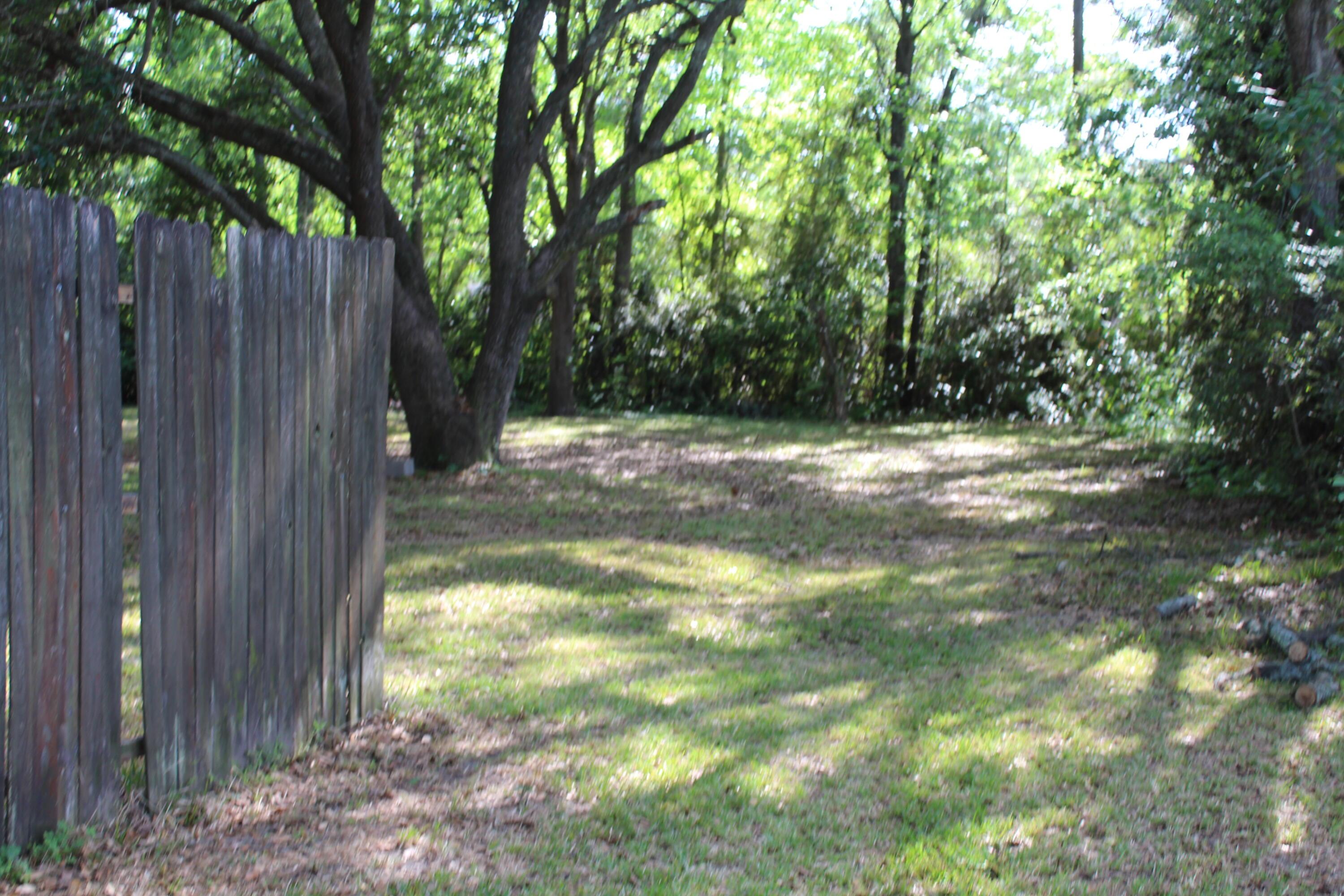 Photo #4
