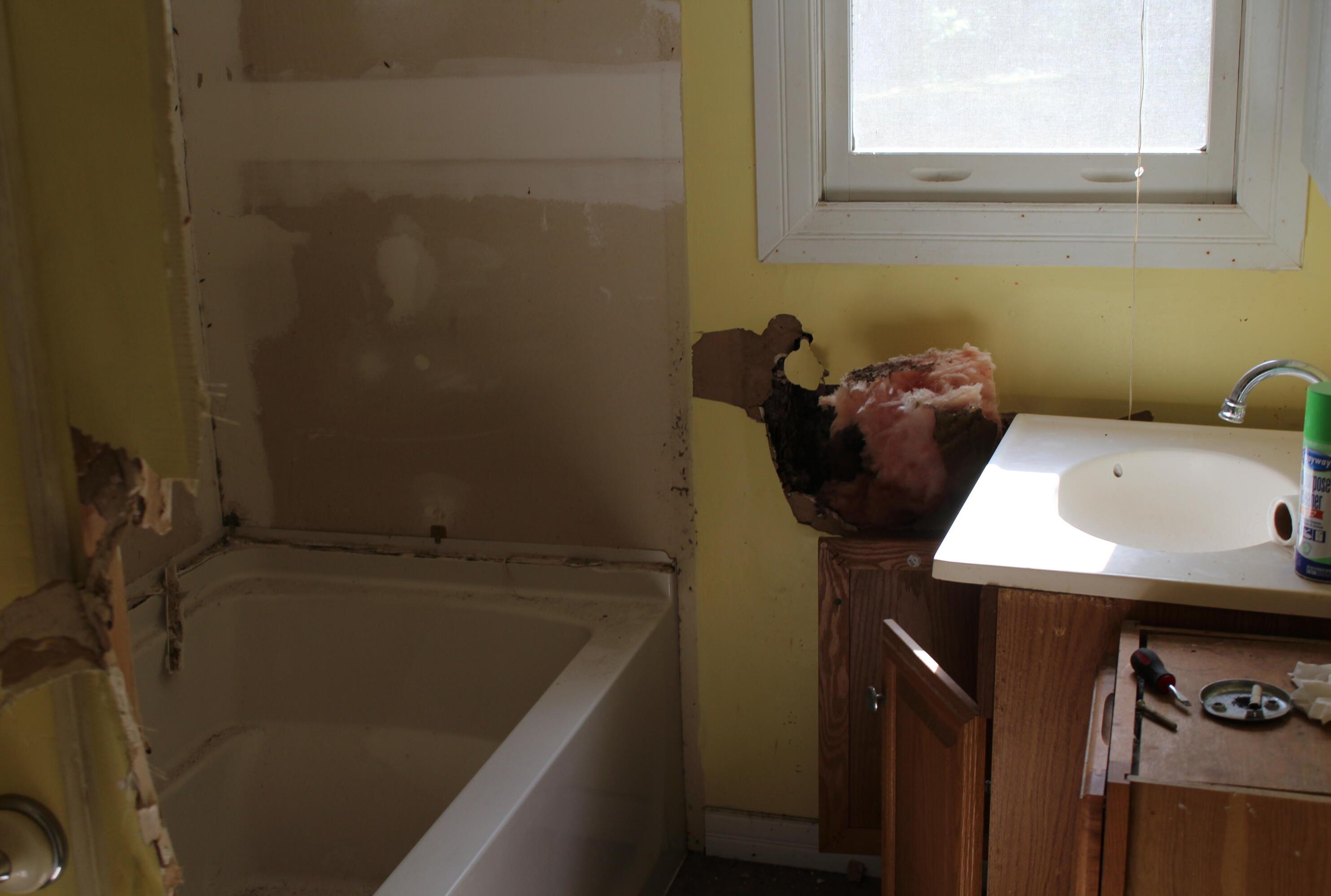 Photo #11