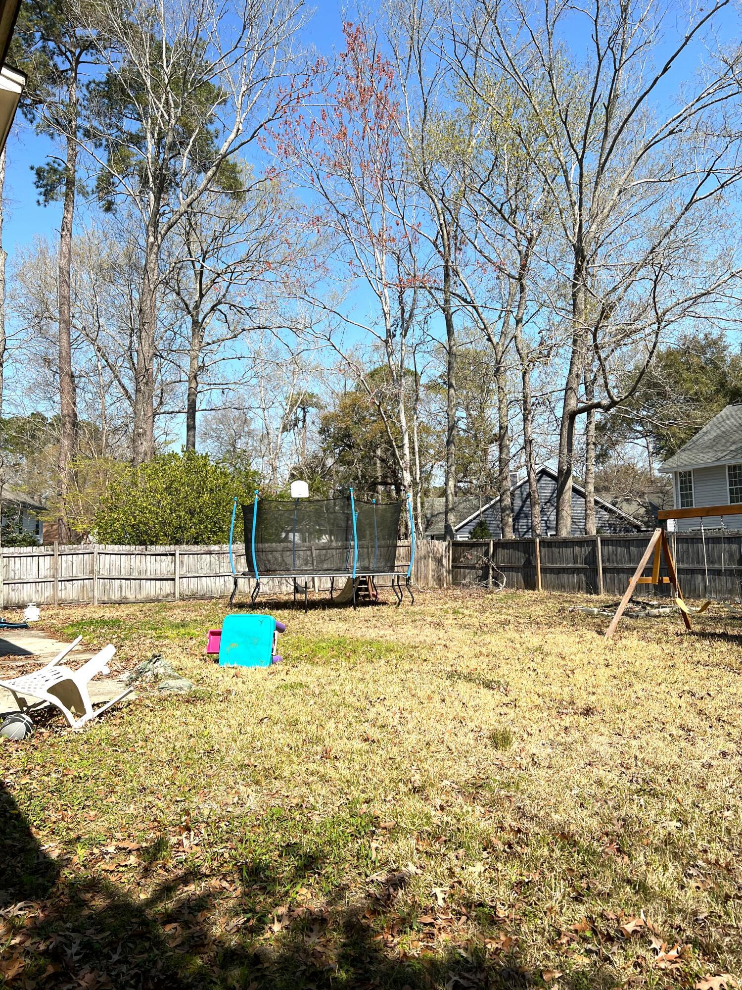 Photo #14