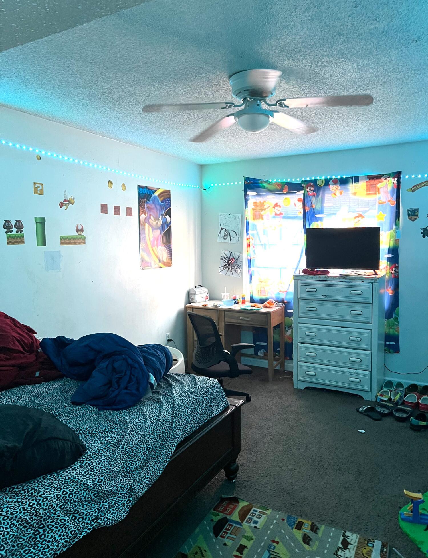 Photo #12
