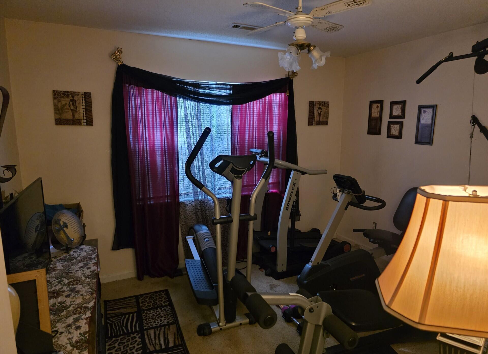 Photo #8