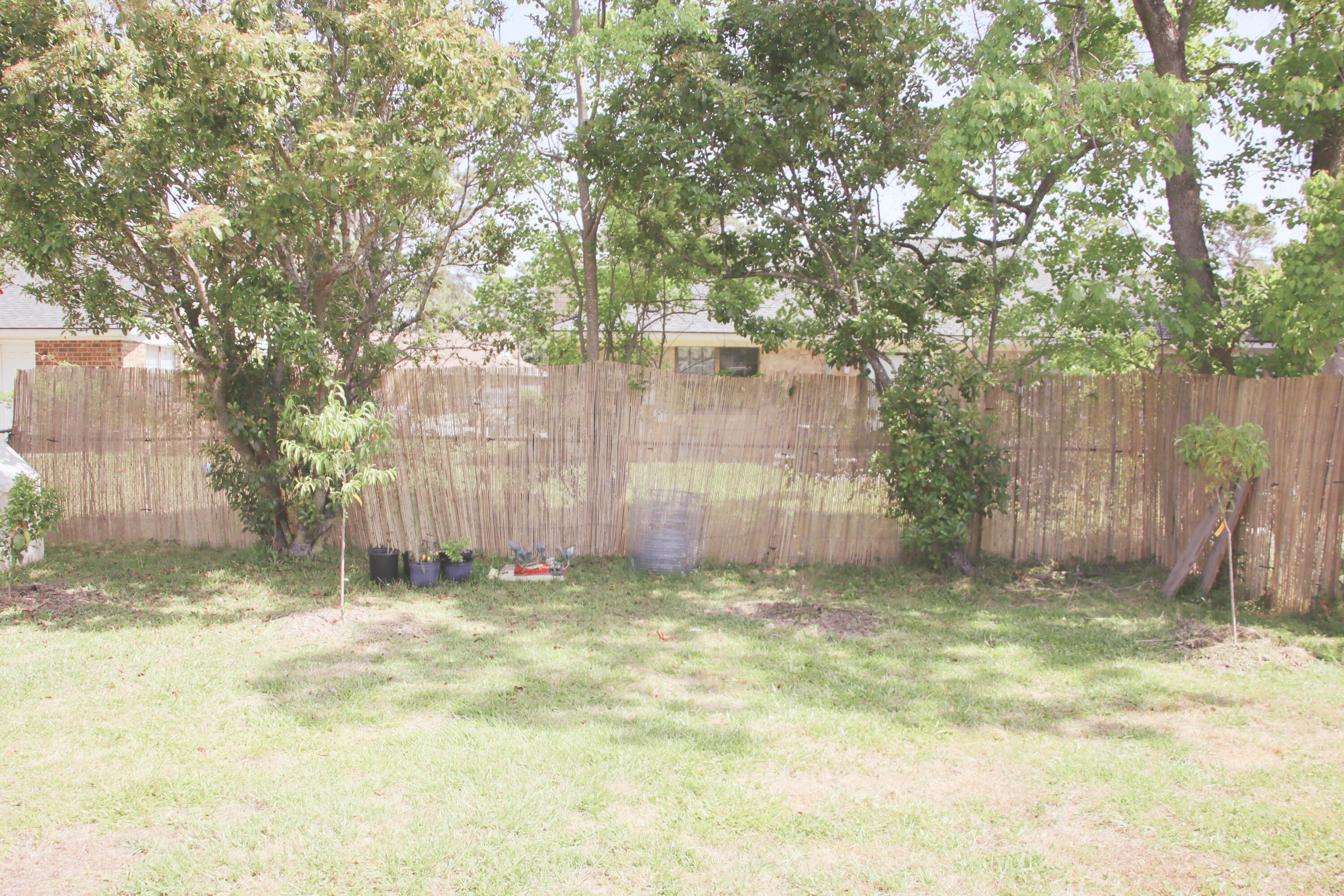 Photo #8
