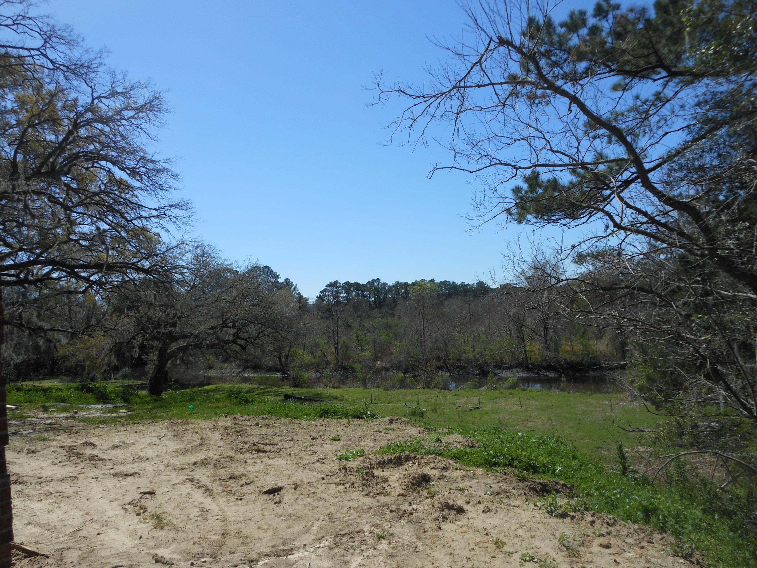 Photo #5