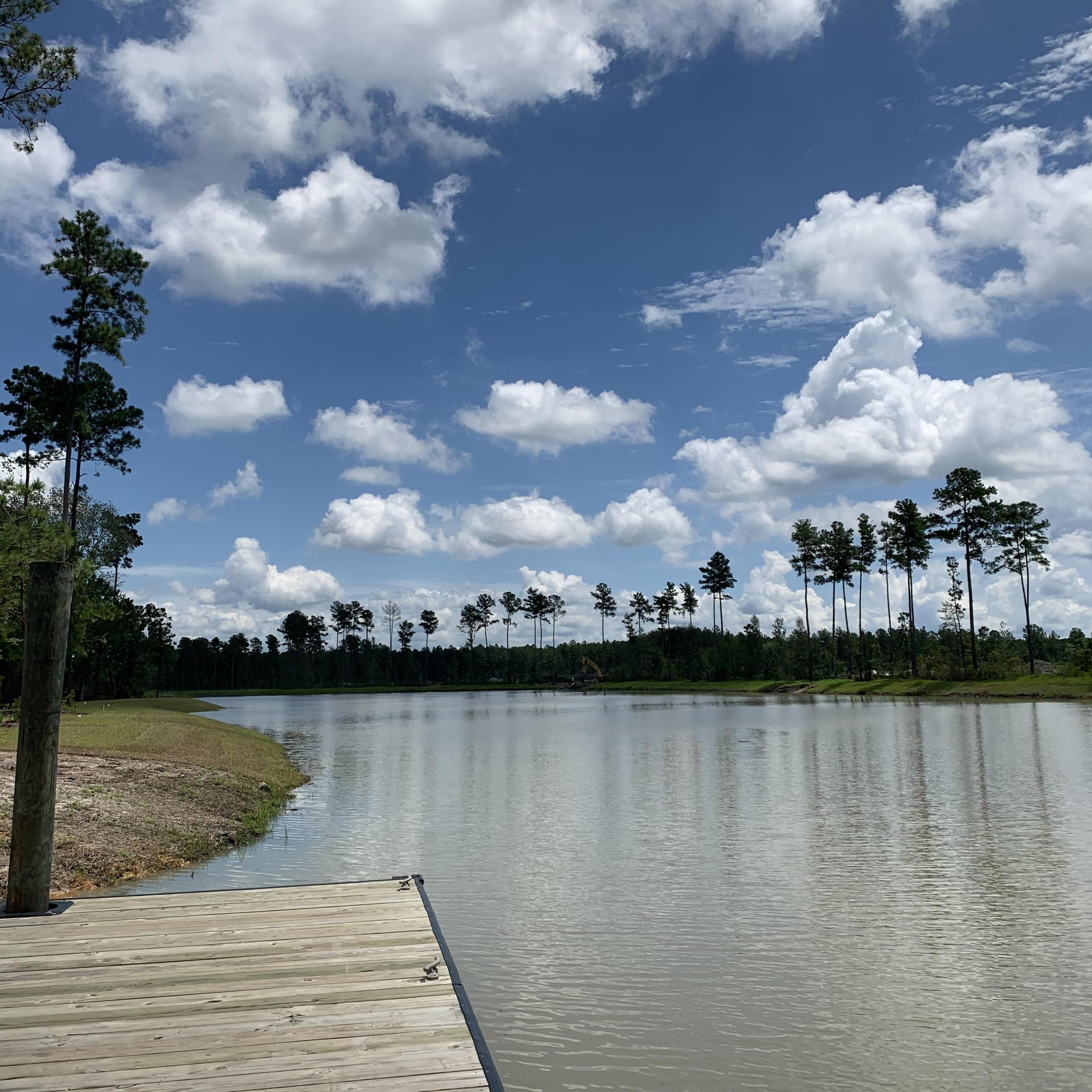 Photo #22