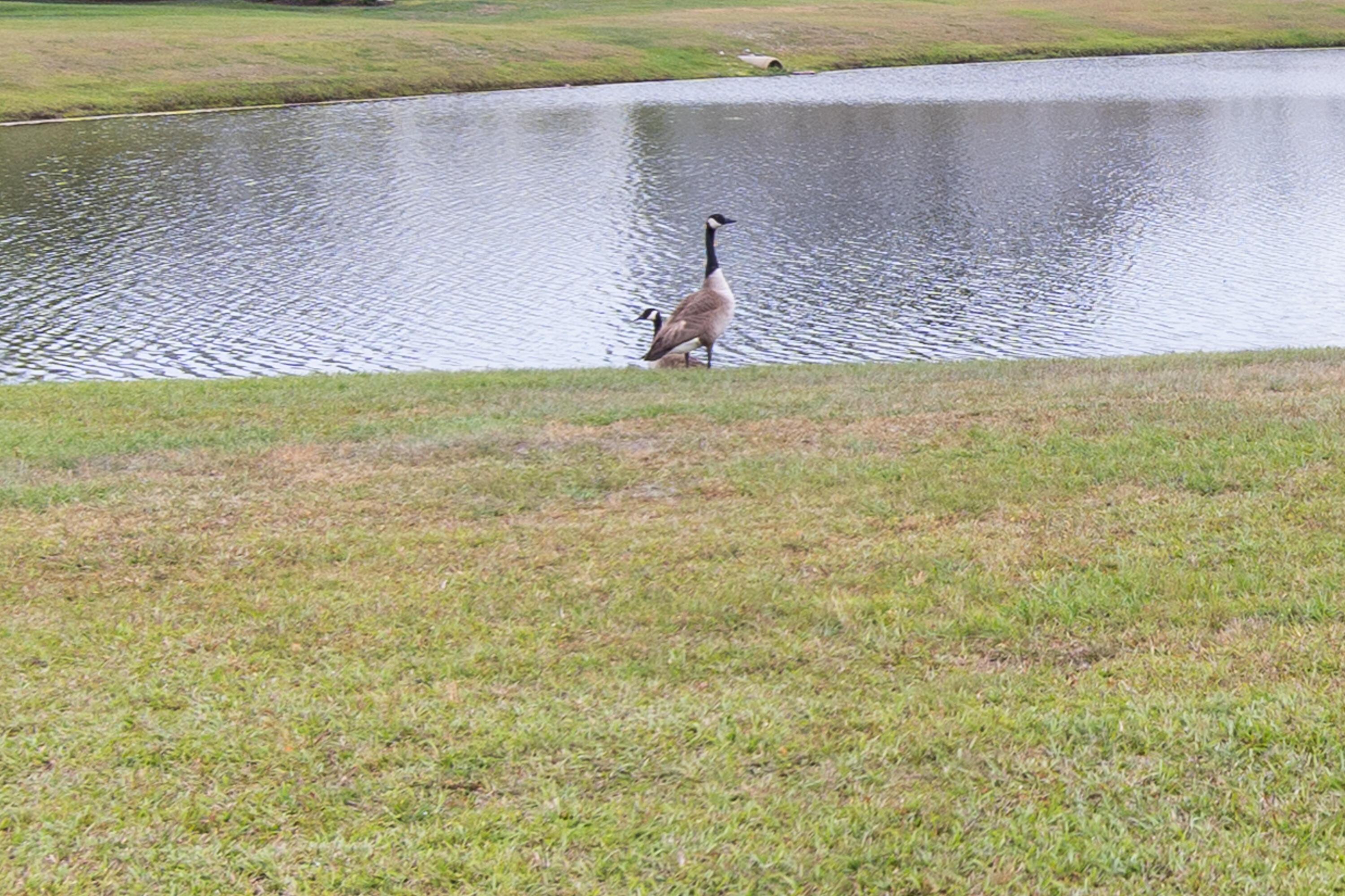 Photo #28