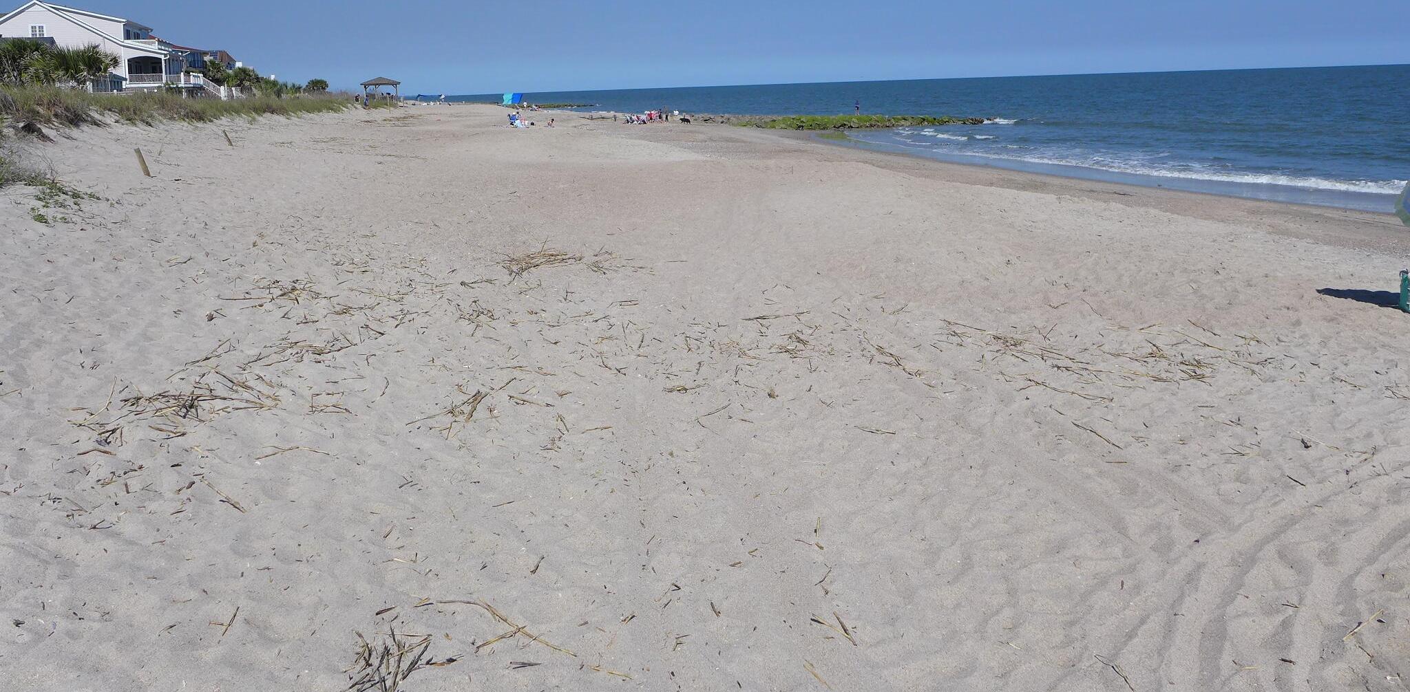 Photo #31
