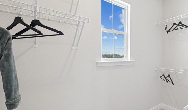 Photo #9