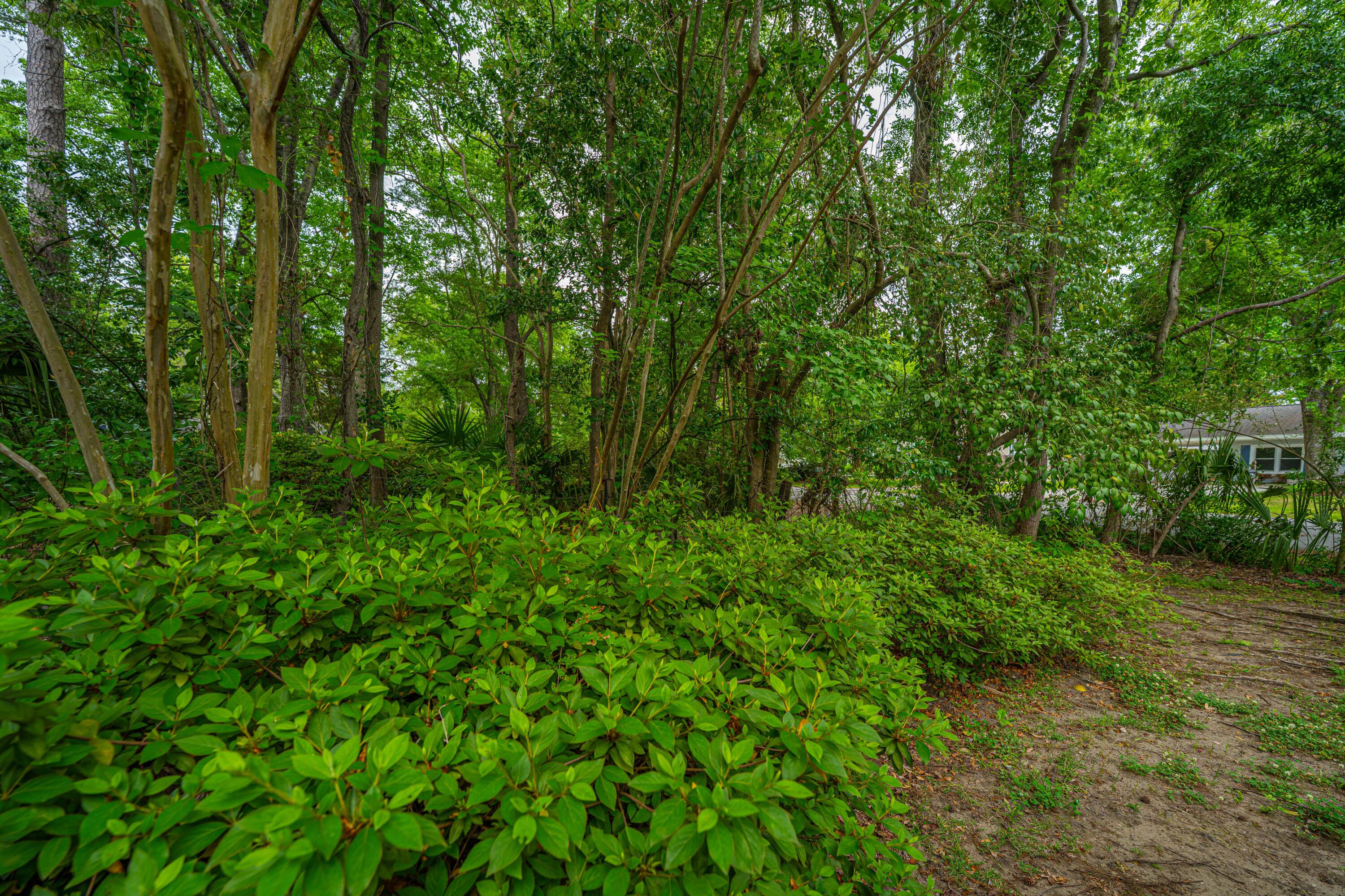 Photo #42
