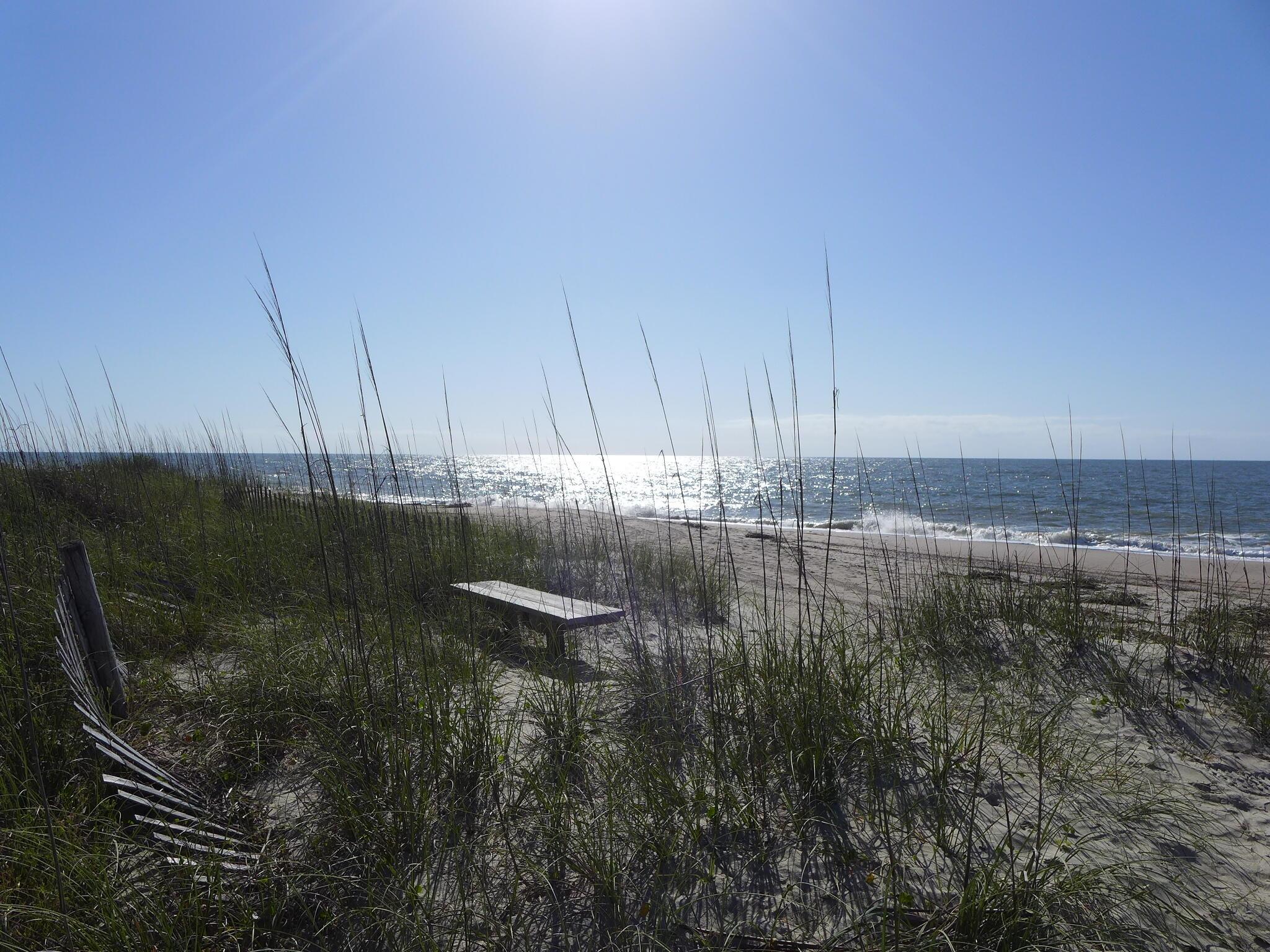 Photo #36
