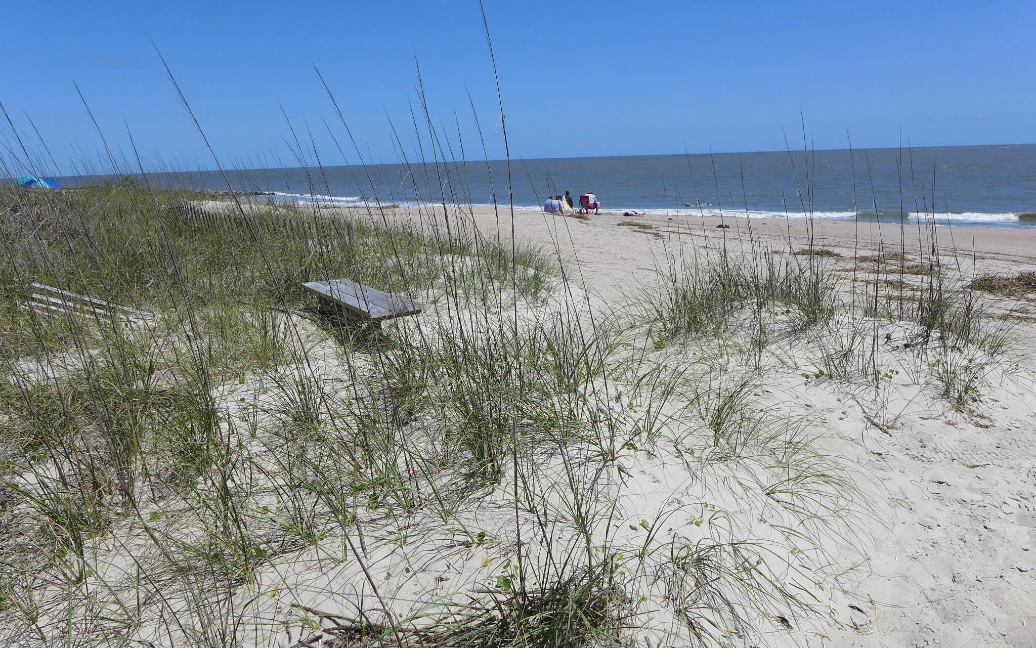 Photo #39