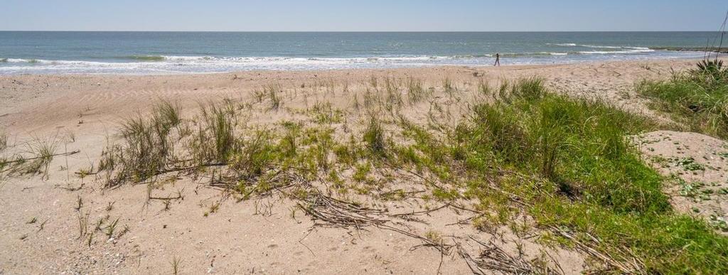 Photo #47