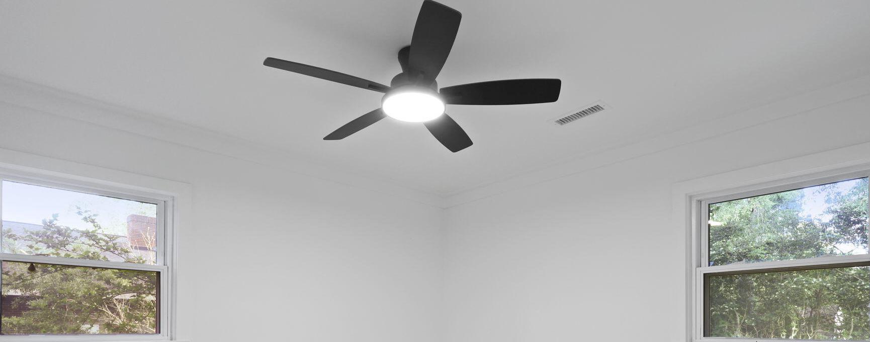 Photo #17