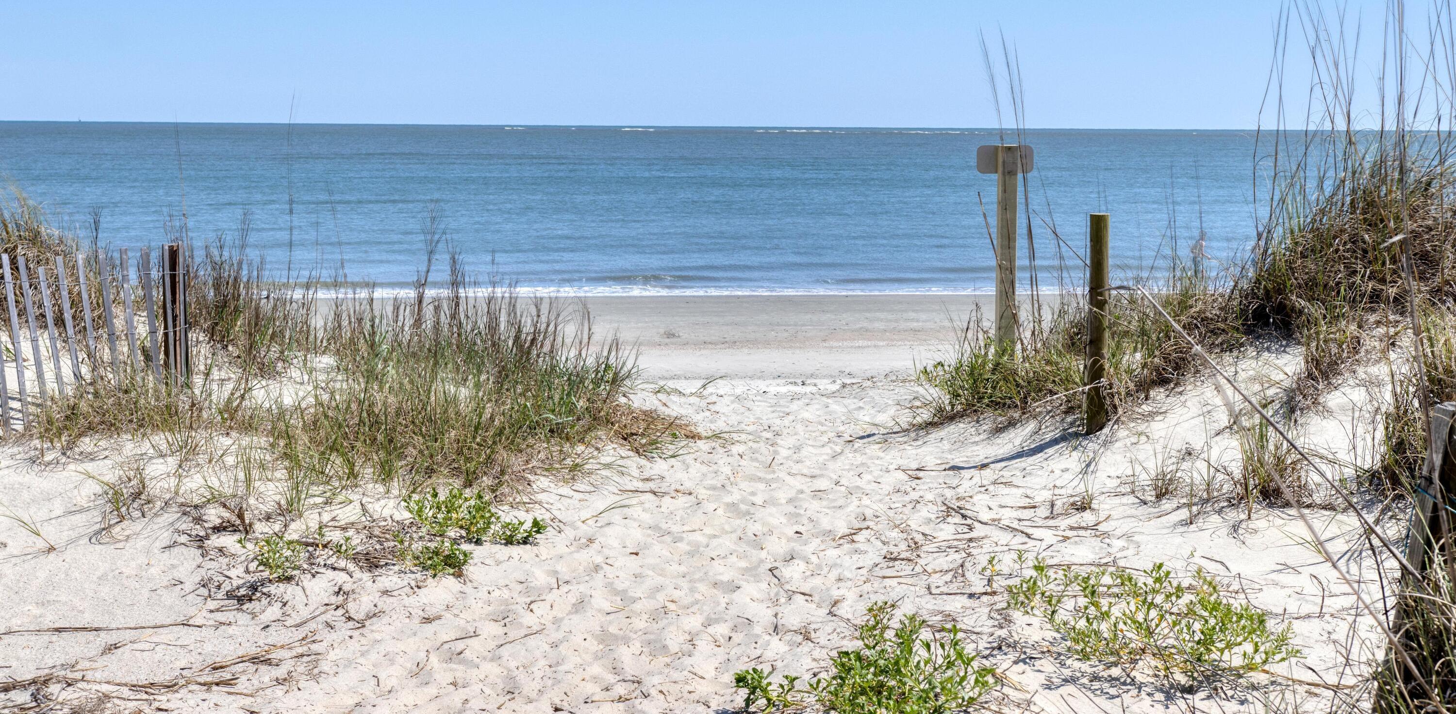 Photo #41