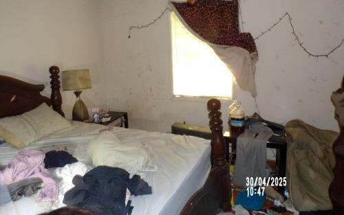 Photo #13