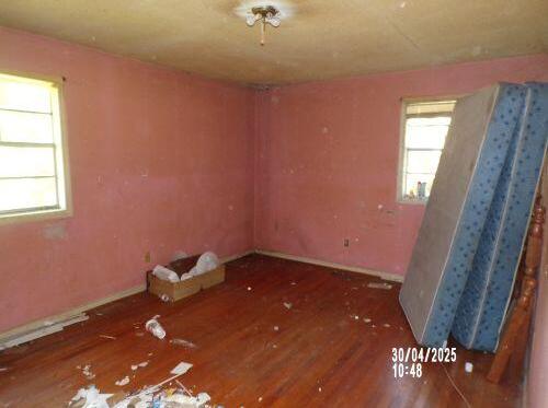 Photo #15