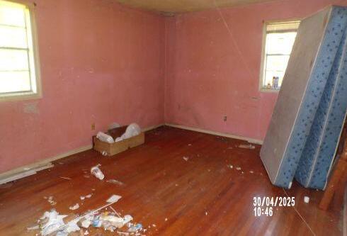 Photo #12