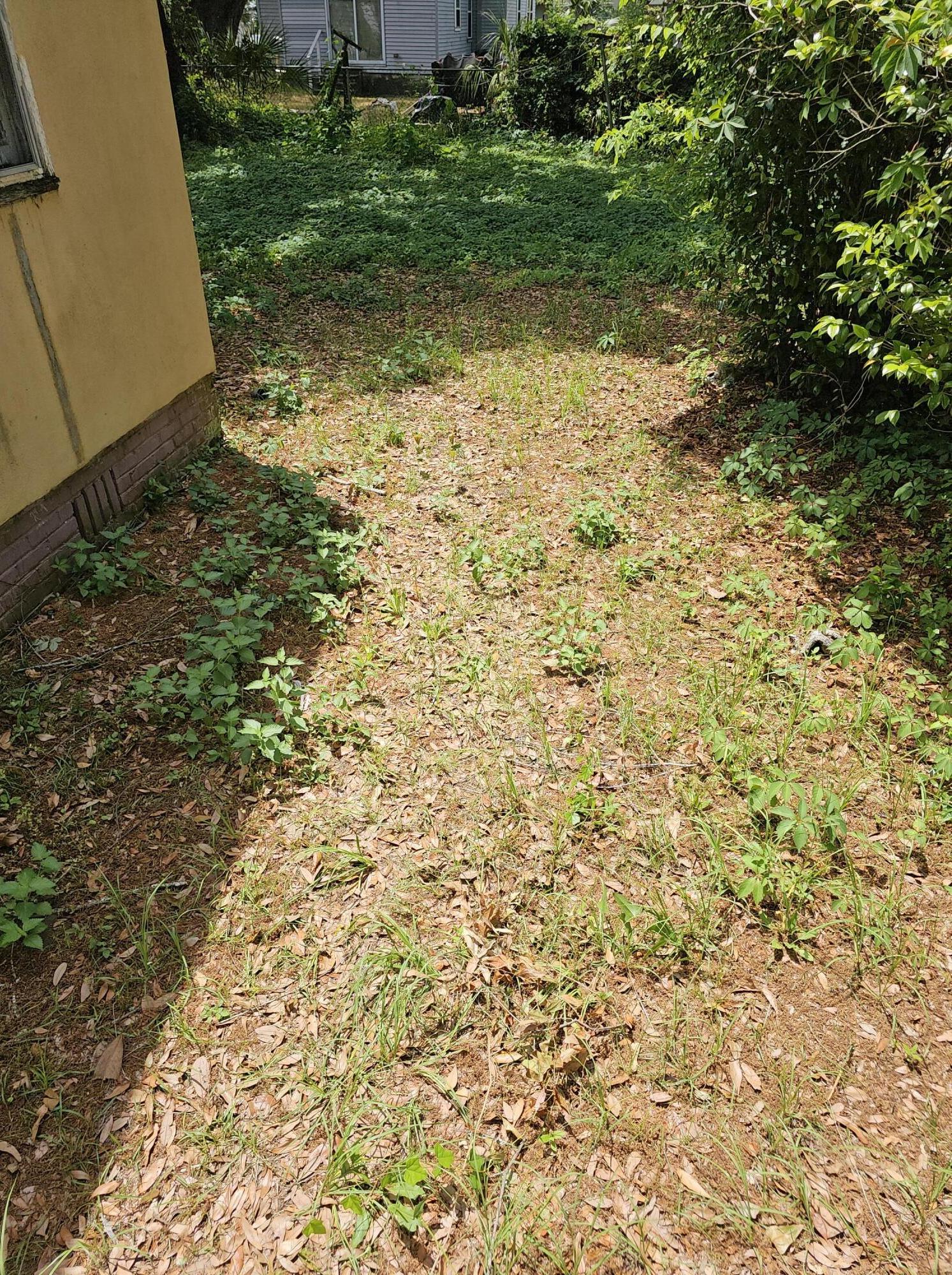Photo #11
