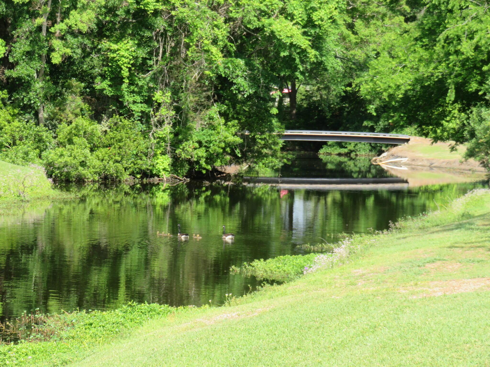 Photo #34