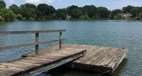 Photo #29