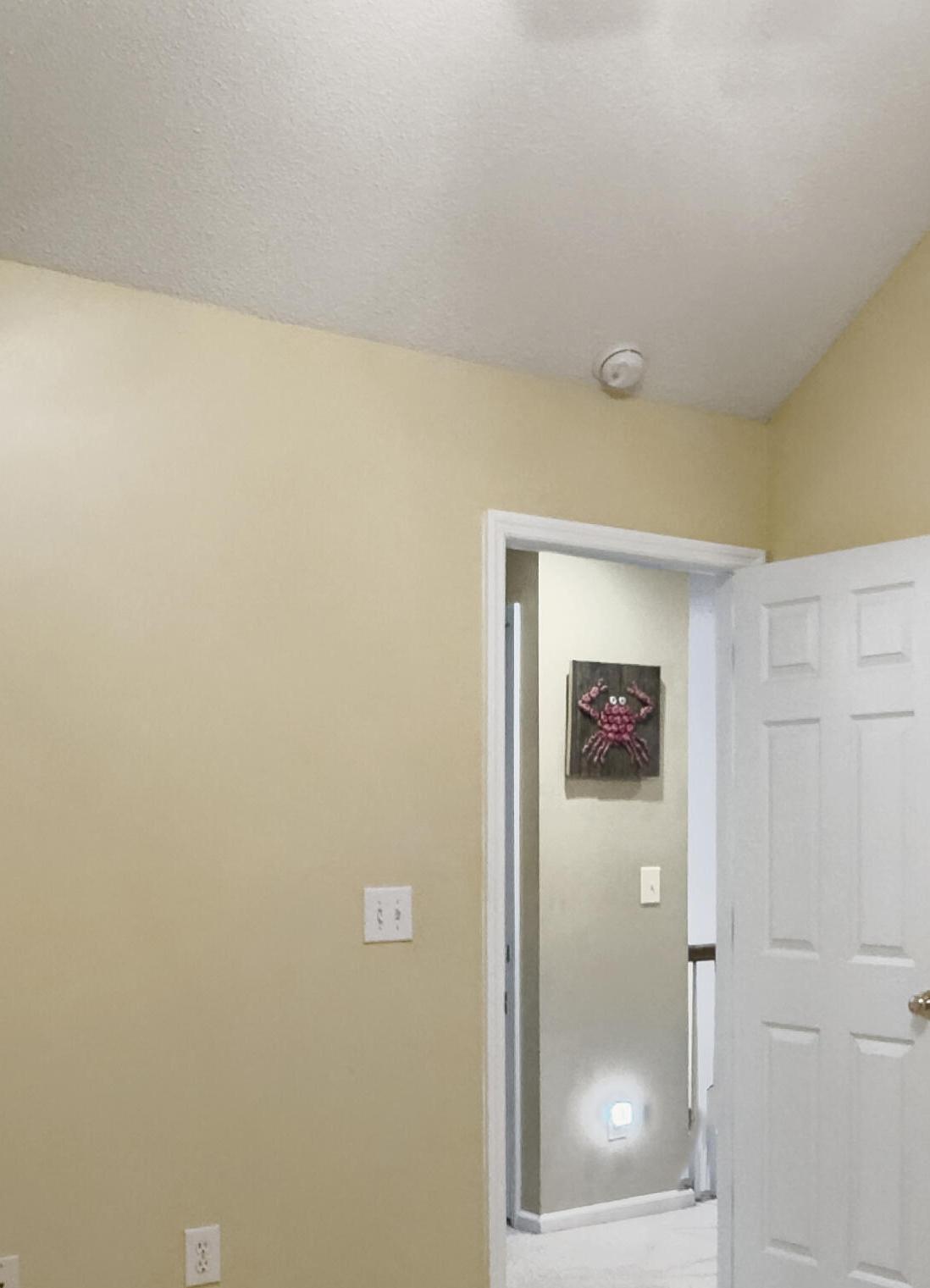 Photo #32