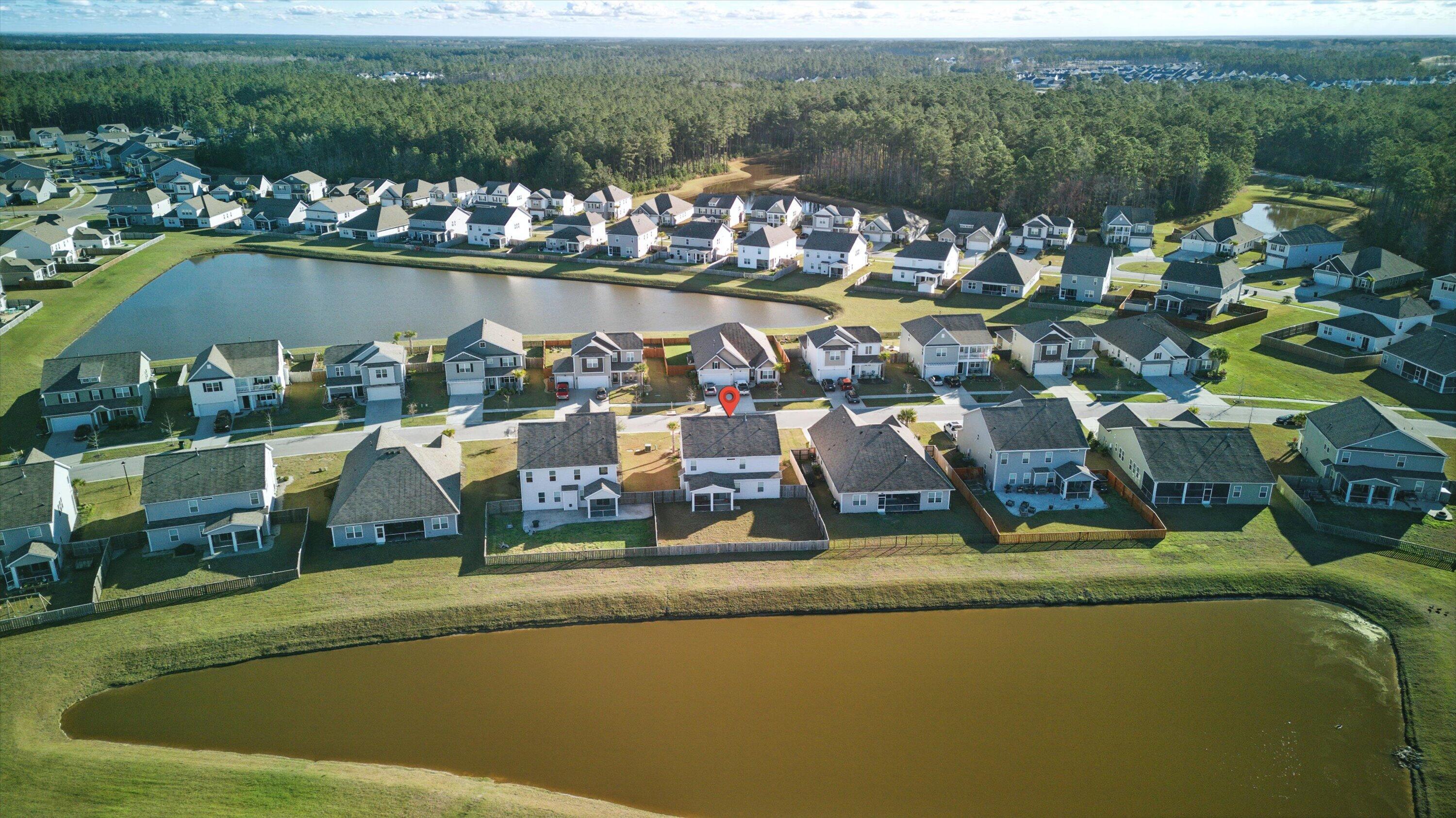 Photo #42