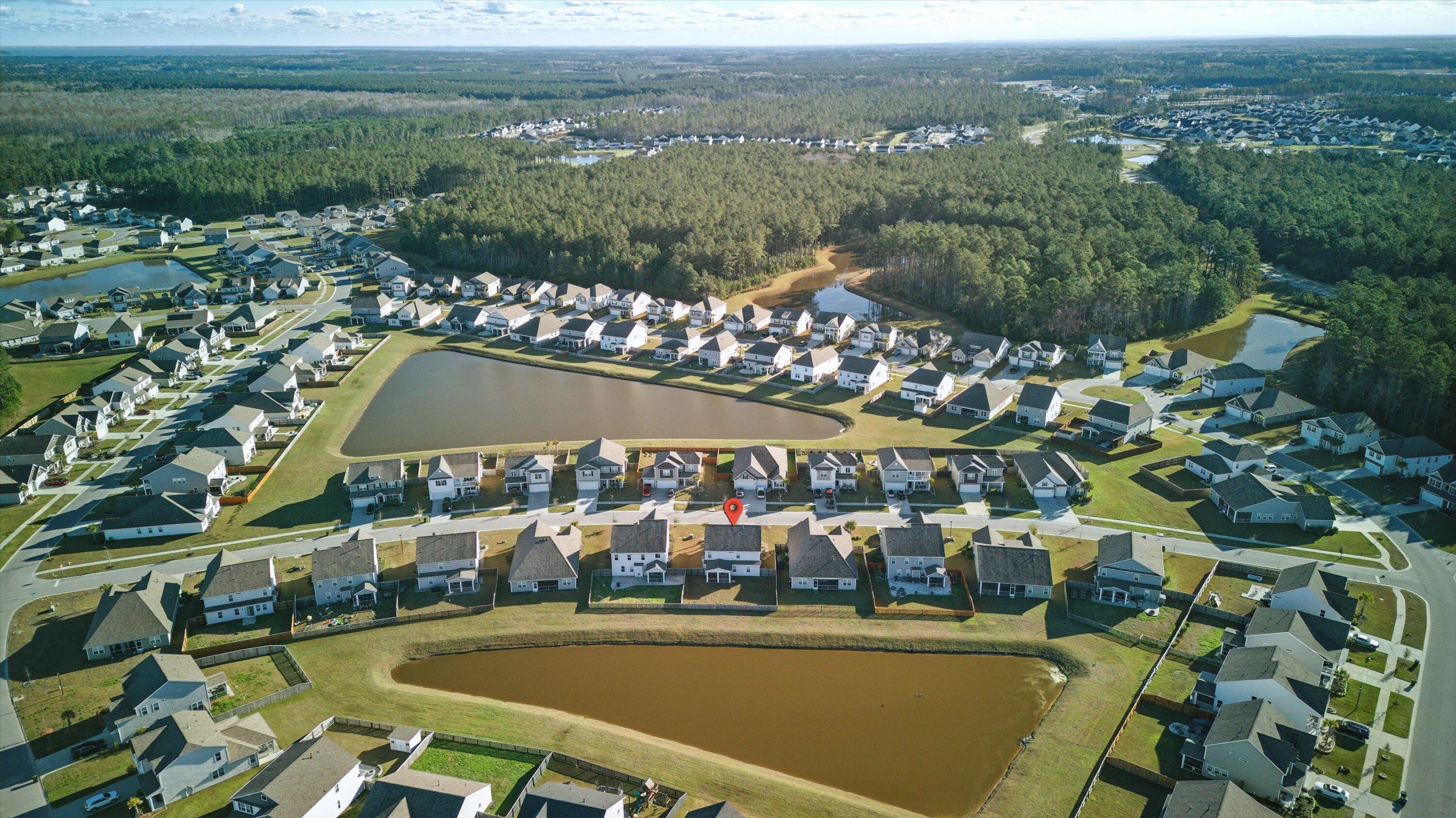 Photo #45