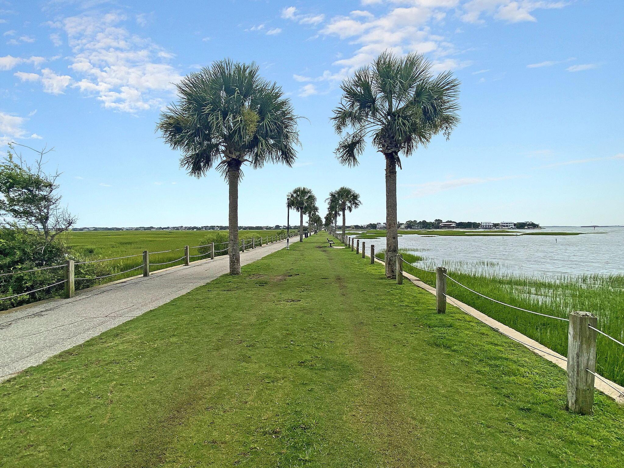 Photo #66