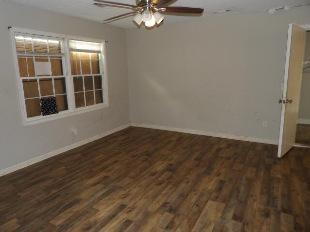 Photo #3