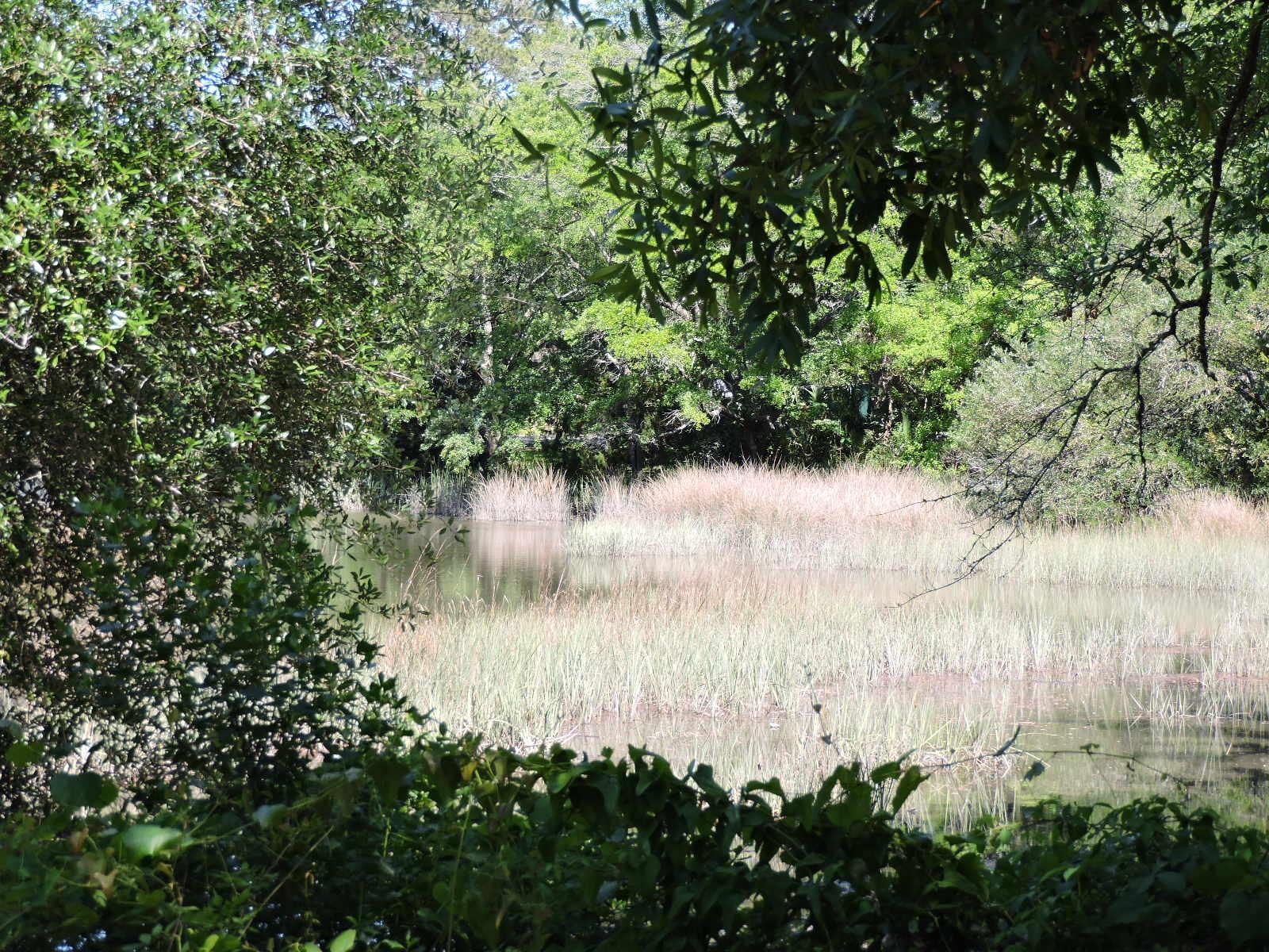 Photo #68