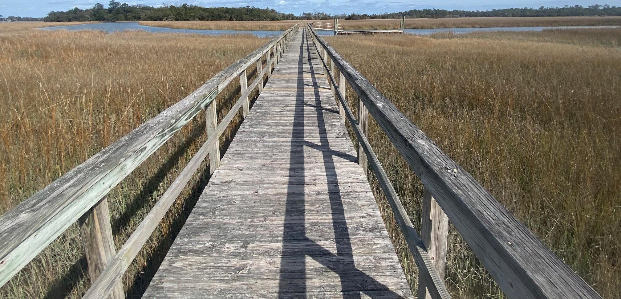Photo #45