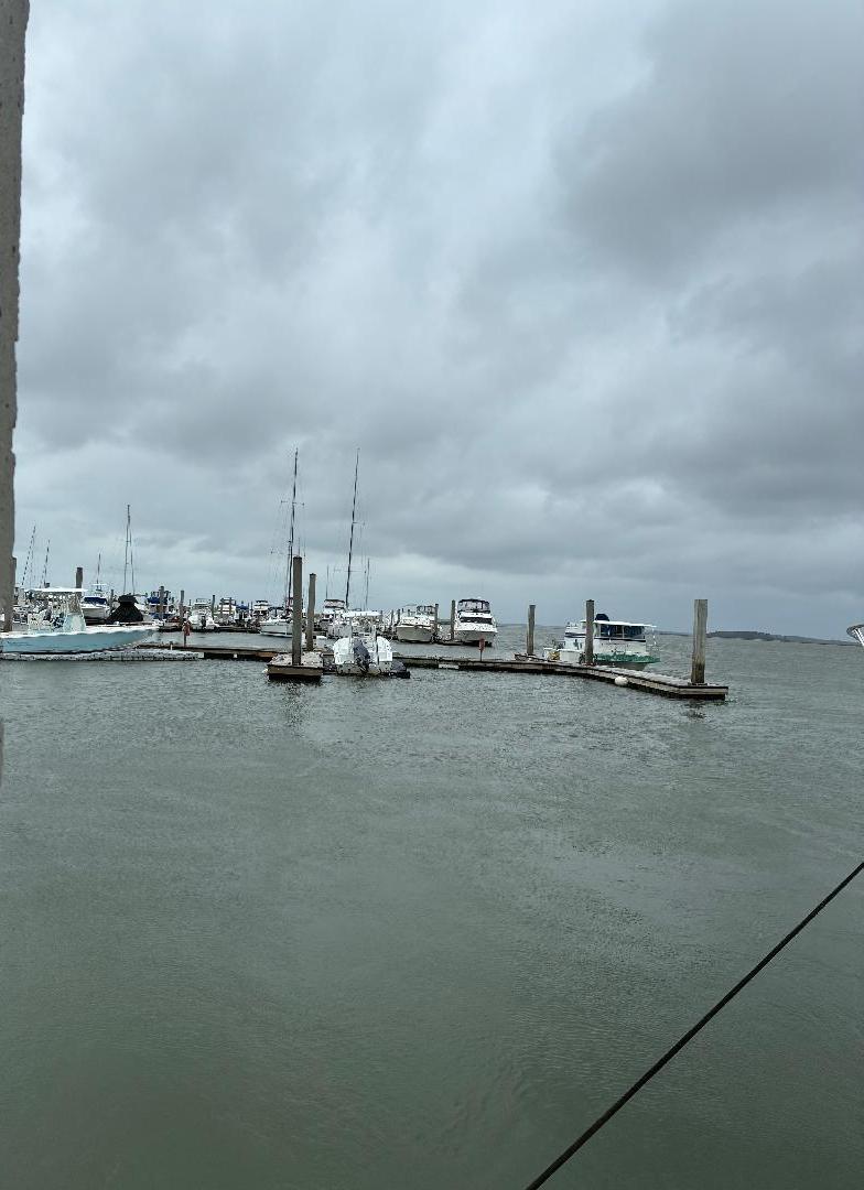 Photo #4