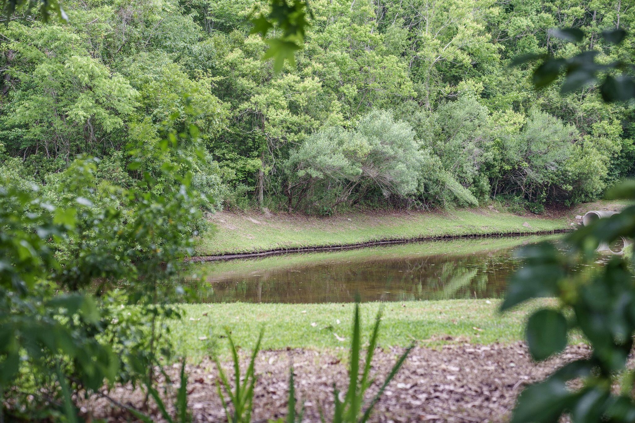 Photo #40