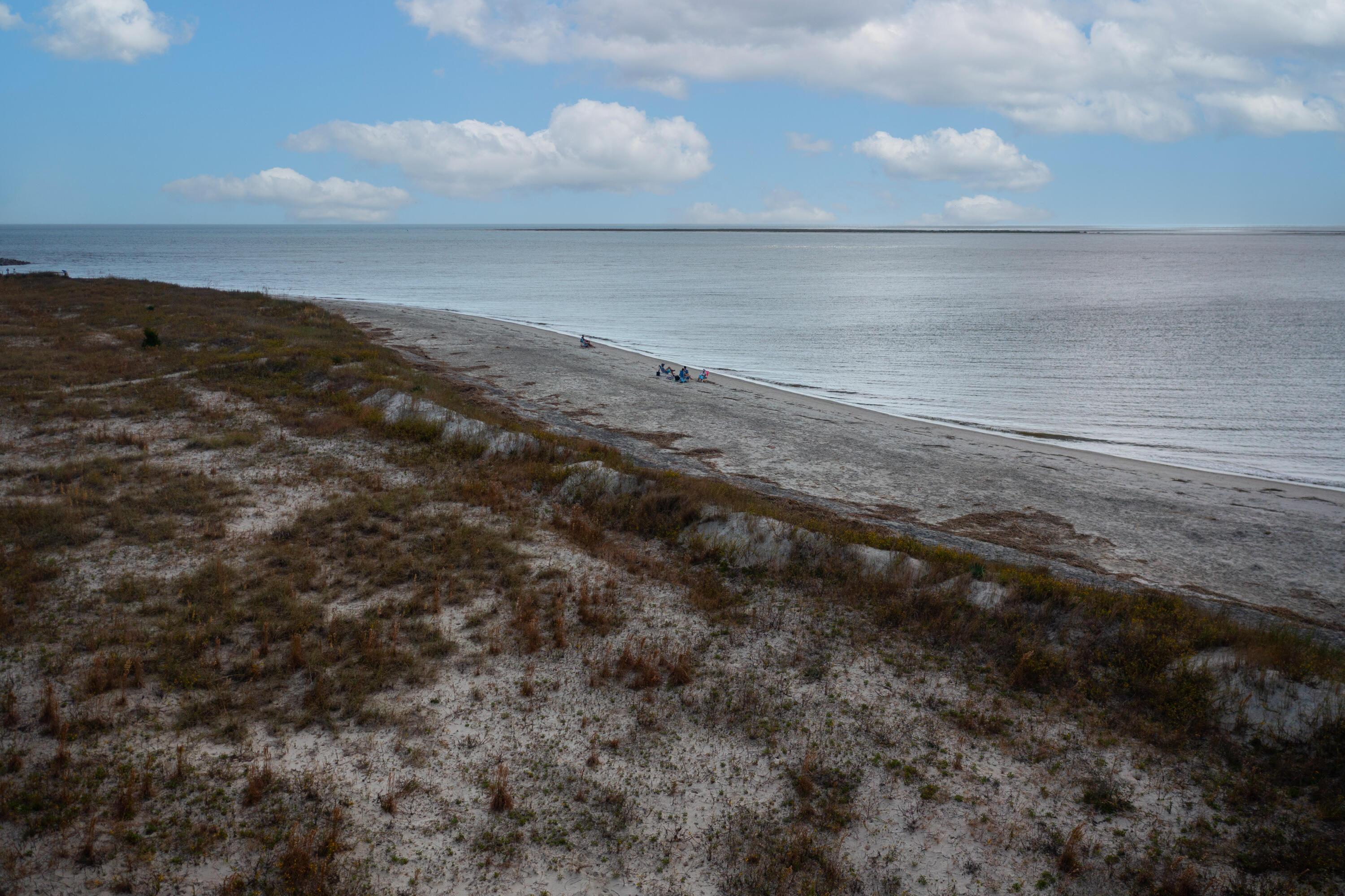 Photo #41