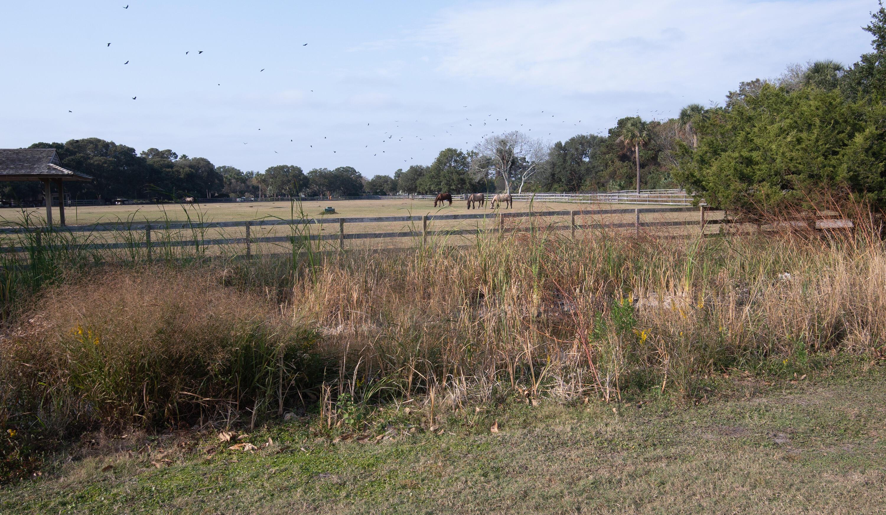 Photo #62