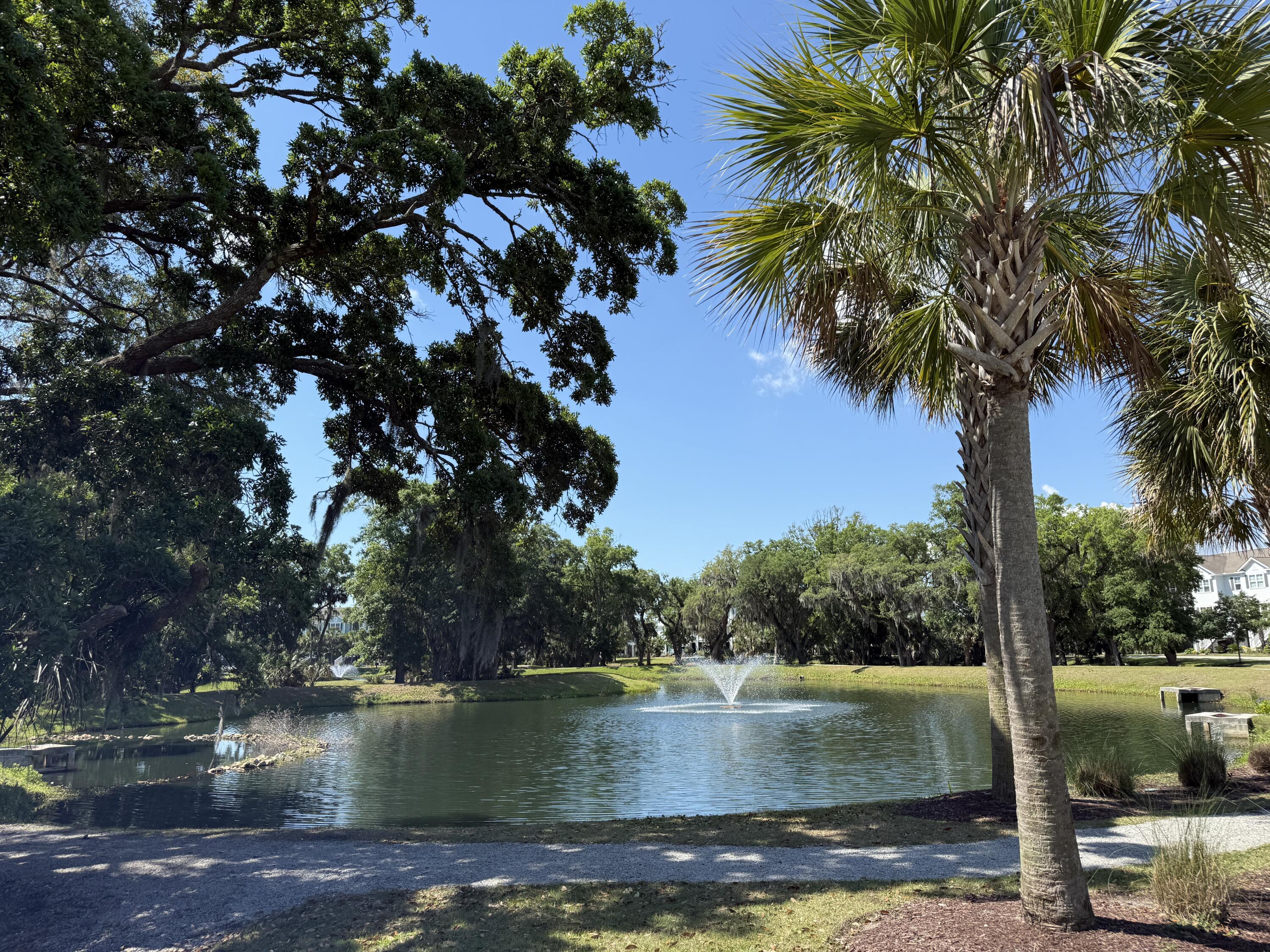 Photo #34