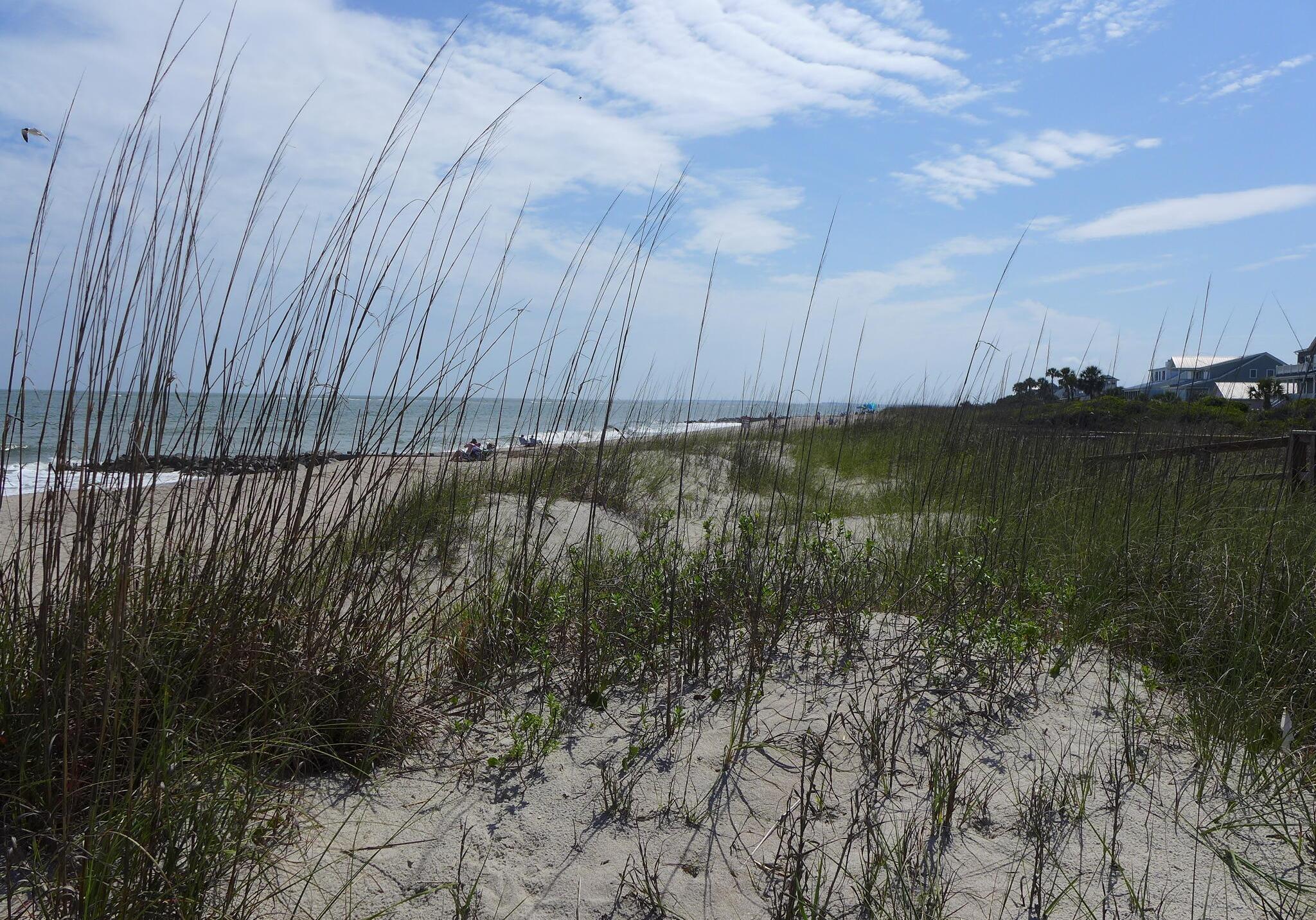Photo #31