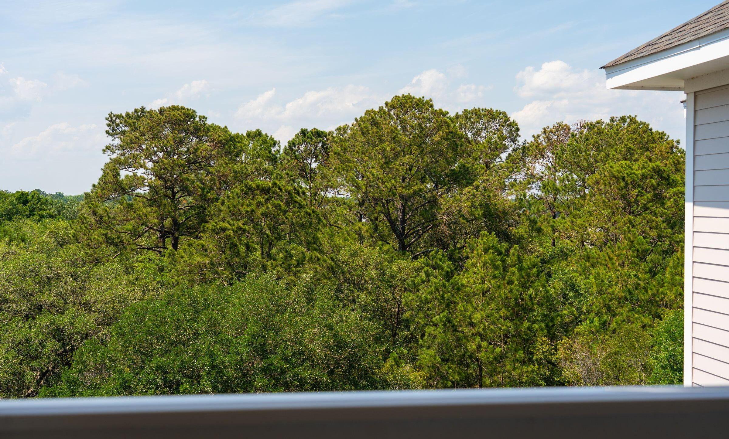 Photo #24