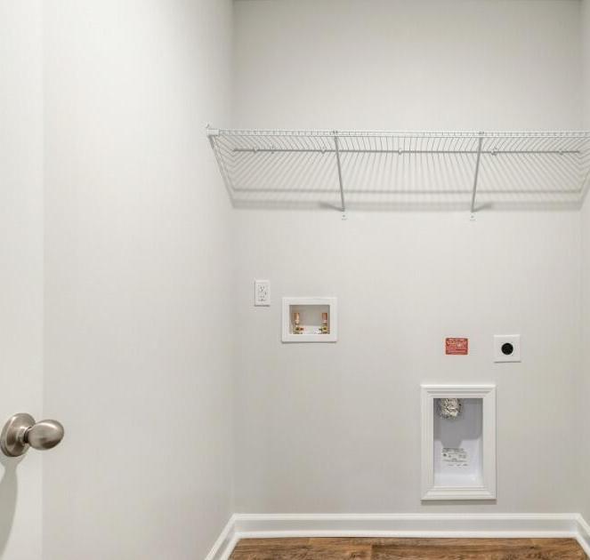 Photo #15