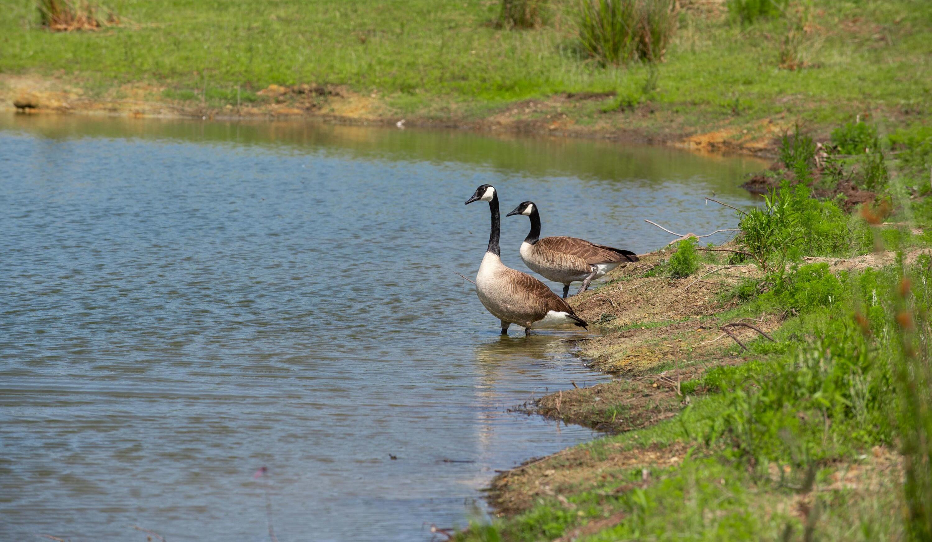 Photo #57
