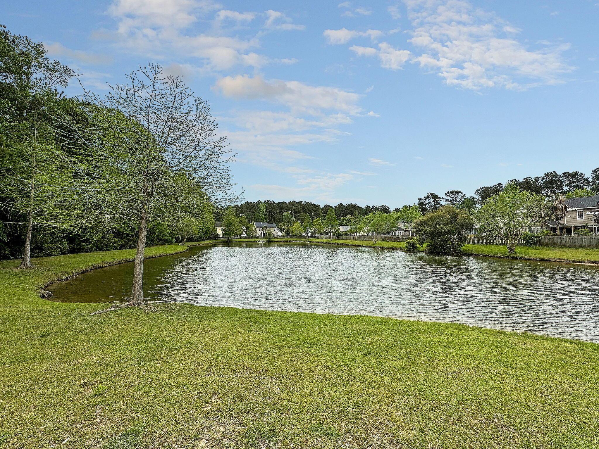 Photo #43