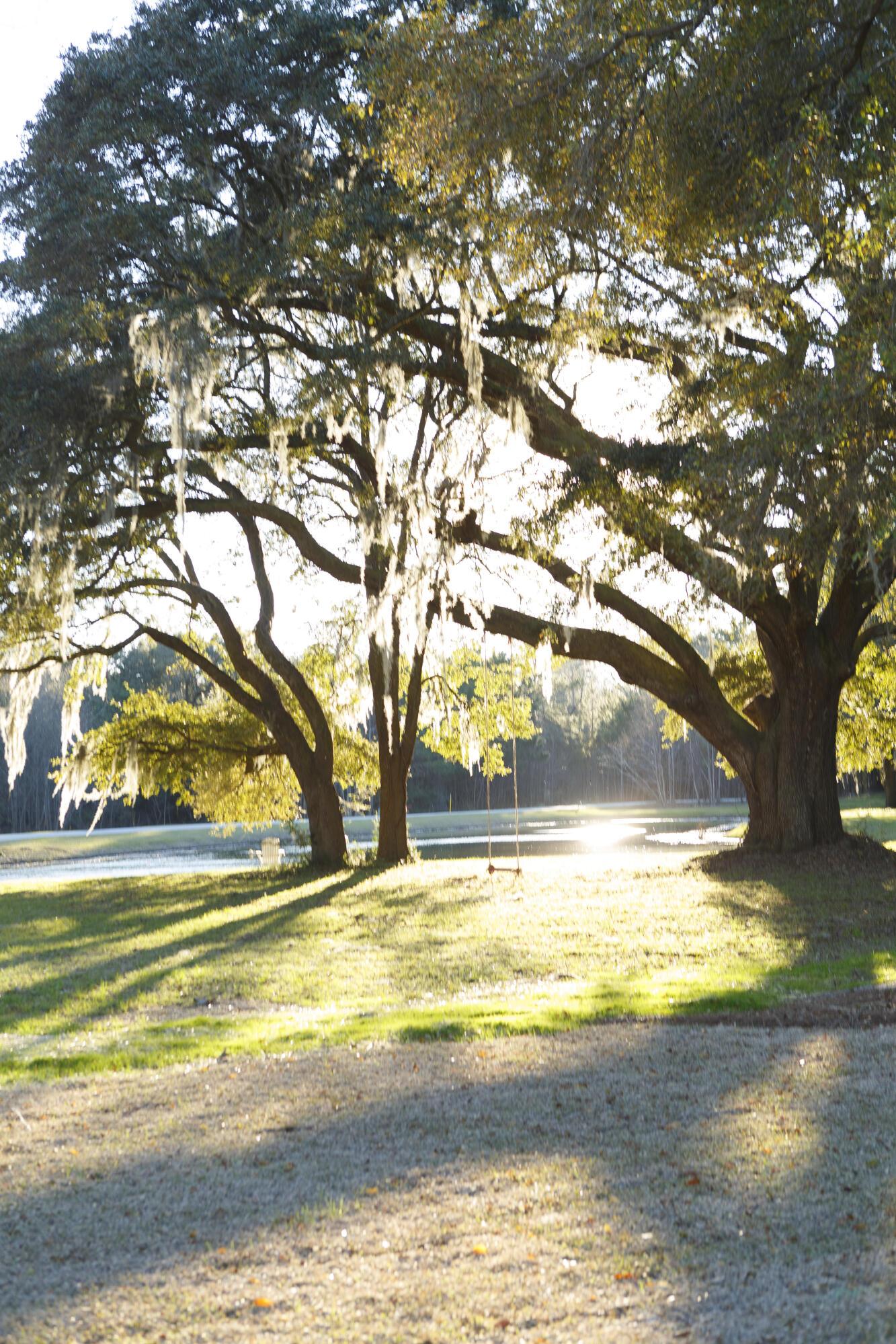 Photo #31
