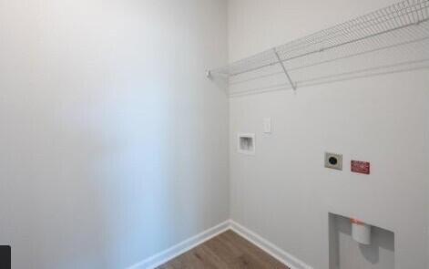 Photo #16