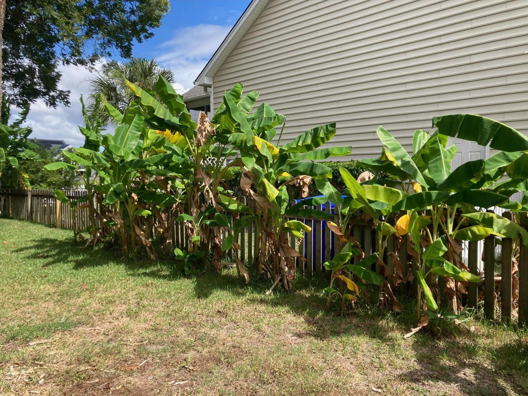Photo #32