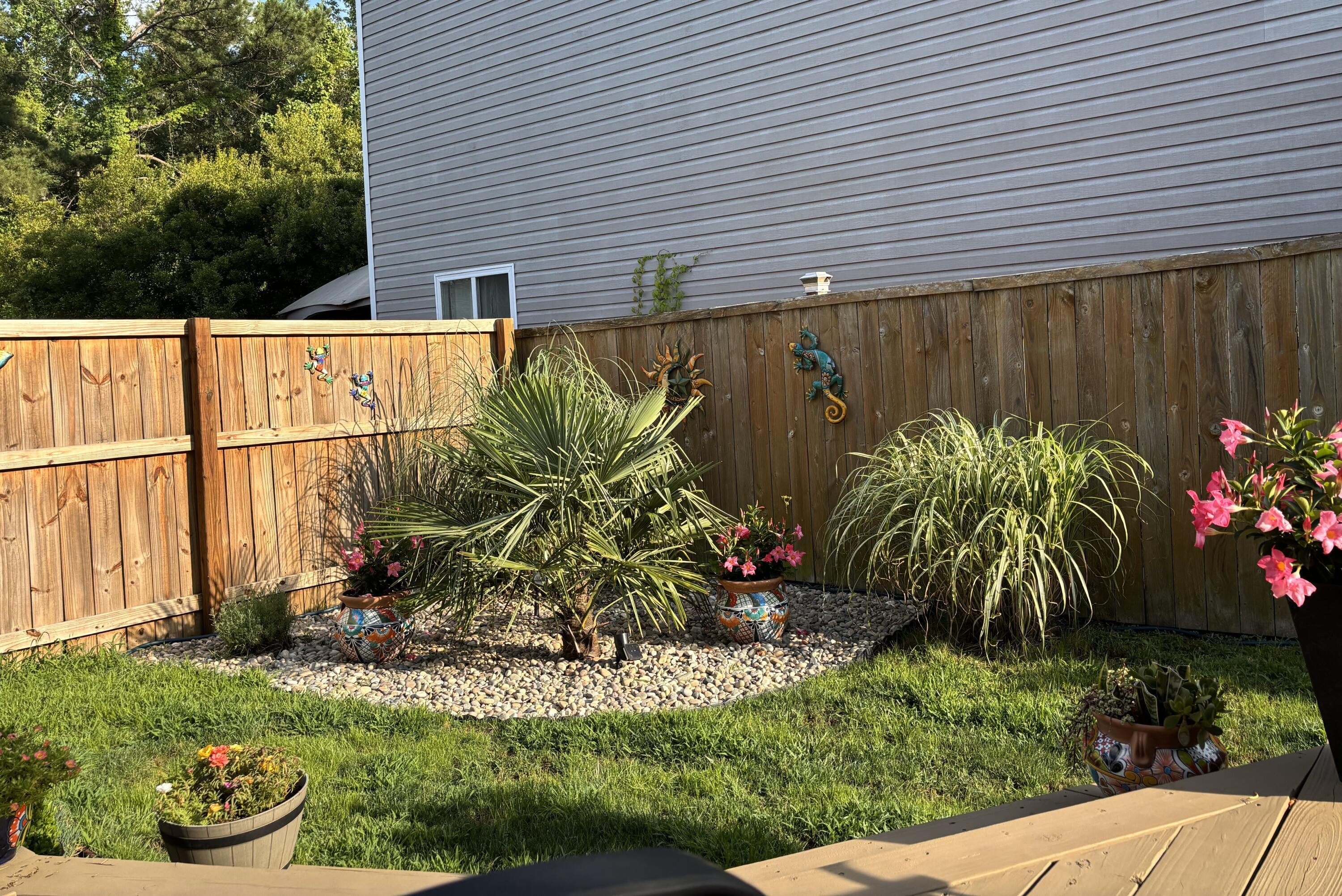 Photo #34