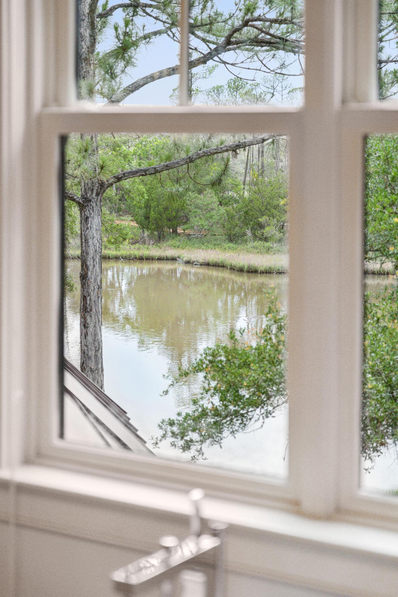 Photo #41